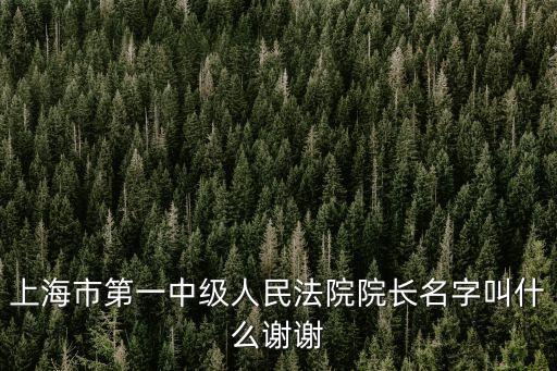 上海市第一中級法院院長的級別，上海市第一中級人民法院院長叫什么名字啊