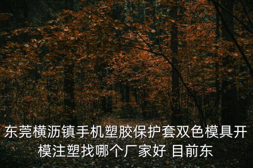 東莞橫瀝鎮手機塑膠保護套雙色模具開模注塑找哪個廠家好 目前東
