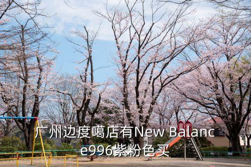 廣州新佰倫專賣店，廣州邊度噶店有New Balance996紫粉色買