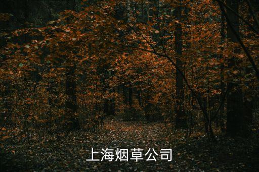 上海煙草公司