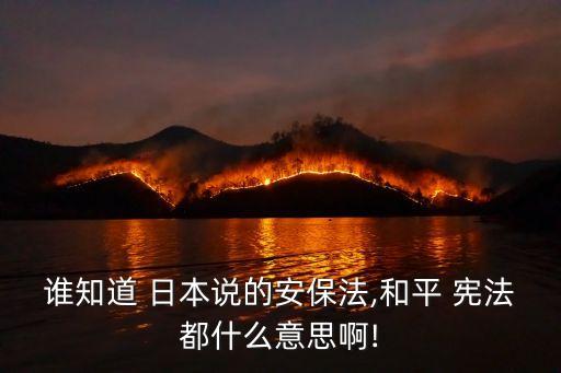 日本憲法第九條,日本廢除《和平憲法》引爭議