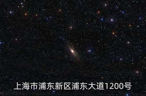 上海市浦東新區(qū)浦東大道1200號