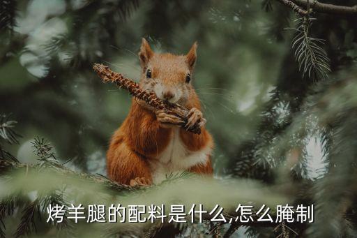 碳烤羊腿,韓式烤羊腿怎么做?