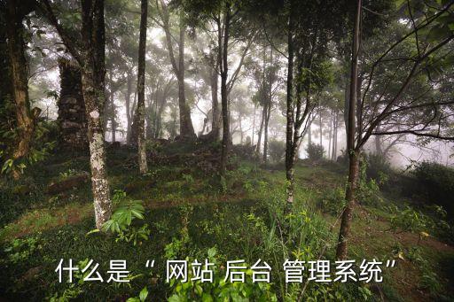 網(wǎng)站后臺(tái)管理,什么是網(wǎng)站后臺(tái)管理系統(tǒng)?