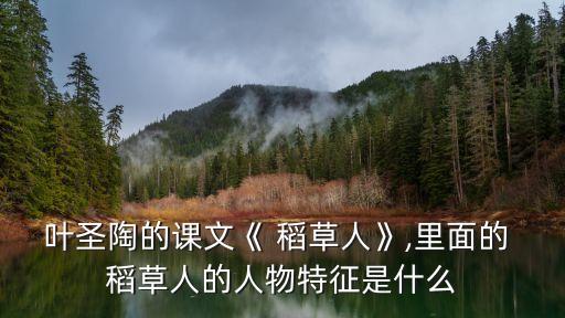 葉圣陶的課文《 稻草人》,里面的 稻草人的人物特征是什么