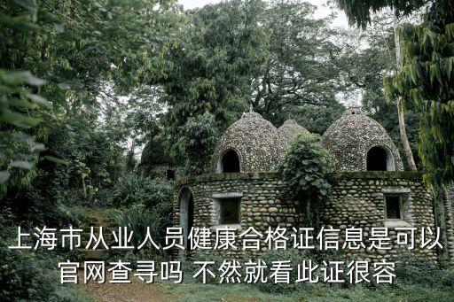 上海市健康證查詢的網址 快，上海市健康證查詢