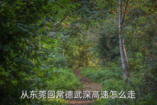 從東莞回常德武深高速怎么走
