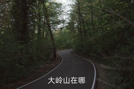東莞市大嶺山鎮(zhèn)政府舊址，東莞大嶺山哪里有電視臺