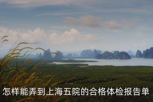 怎樣能弄到上海五院的合格體檢報告單
