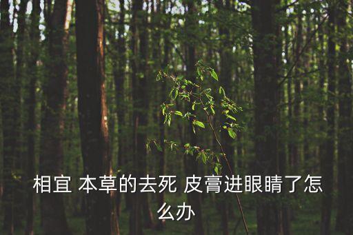  相宜 本草的去死 皮膏進眼睛了怎么辦