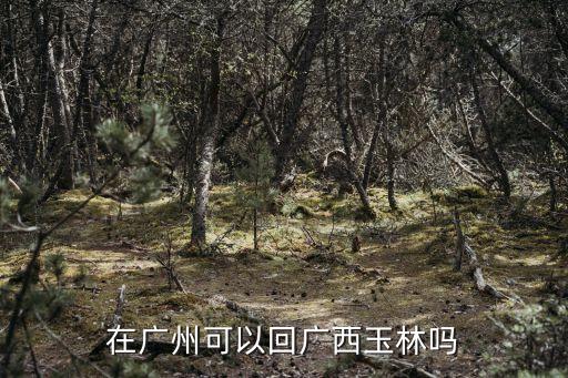 廣州玉林商會，廣州市廣州大道南448號財(cái)智大廈1811室的公司叫什么名字