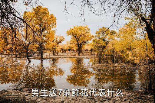 七朵玫瑰,七朵紅玫瑰花語:我暗戀你