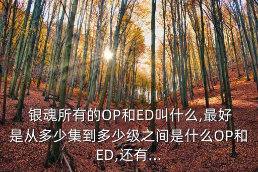 銀魂ed,銀魂惡搞過哪些動漫