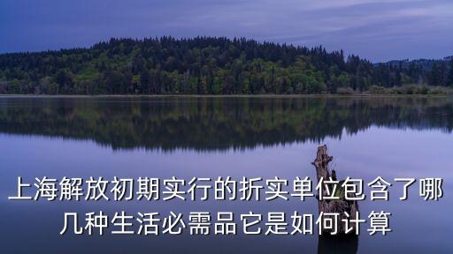上海解放初期實行的折實單位包含了哪幾種生活必需品它是如何計算