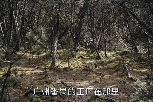 廣州番禺的工廠在那里