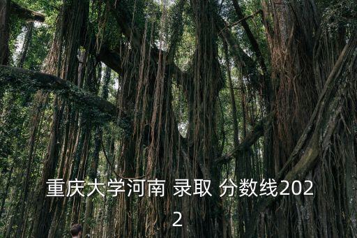 重慶大學錄取分數線,重慶大學錄取分數線:理工學院占569分