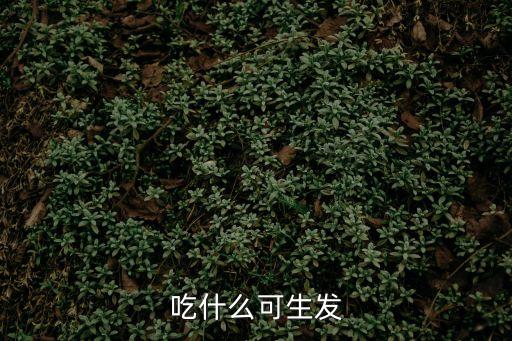 吃什么能生發(fā)，吃什么可生發(fā)