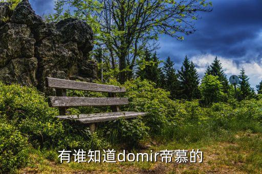有誰知道domir帝慕的