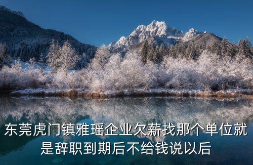 東莞虎門鎮(zhèn)雅瑤企業(yè)欠薪找那個(gè)單位就是辭職到期后不給錢說(shuō)以后