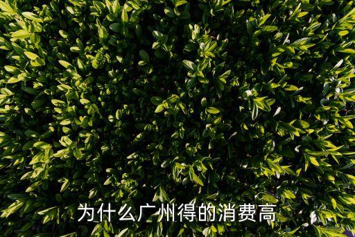 為什么廣州得的消費高