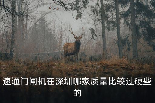 速通門閘機(jī)在深圳哪家質(zhì)量比較過硬些的