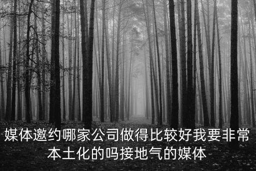 媒體邀約哪家公司做得比較好我要非常本土化的嗎接地氣的媒體