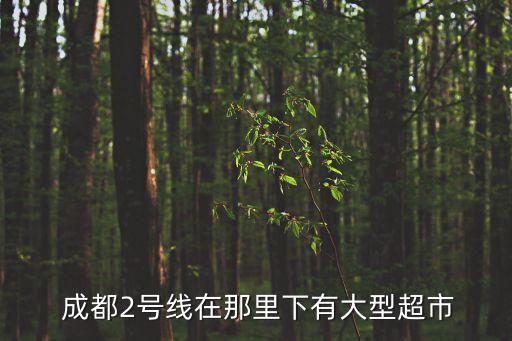 成都購物