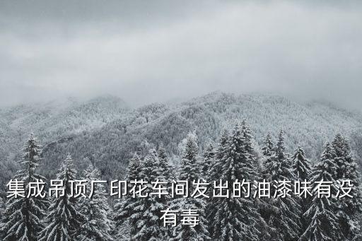 集成吊頂廠印花車間發出的油漆味有沒有毒