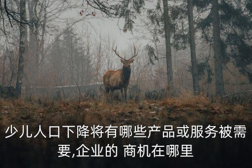 兒童商機,全面二孩政策下的兒童娛樂項目有哪些?