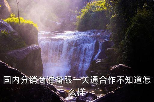 國(guó)內(nèi)分銷商準(zhǔn)備跟一關(guān)通合作不知道怎么樣
