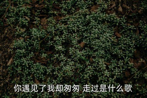 你遇見(jiàn)了我卻匆匆 走過(guò)是什么歌