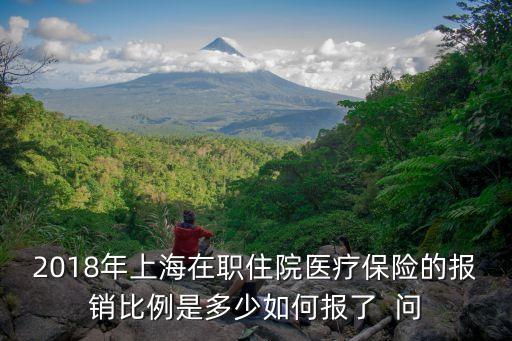 2018年上海在職住院醫療保險的報銷比例是多少如何報了  問