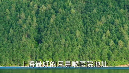 上海最好的耳鼻喉醫(yī)院地址