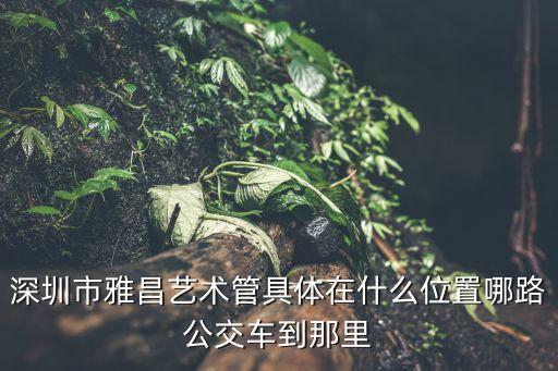 深圳雅藝藝術館，深圳龍崗區中心城到福田區的雅昌藝術館搭什么車