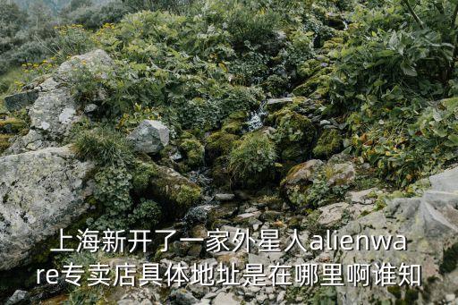 上海新開了一家外星人alienware專賣店具體地址是在哪里啊誰知