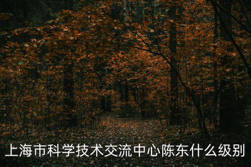 上海市科學技術協會級別，上海市科學技術交流中心陳東什么級別