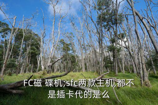 FC磁 碟機;sfc兩款主機,都不是插卡代的是么