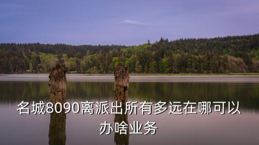 深圳 長泰花園 派出所，深圳派出所報案查詢