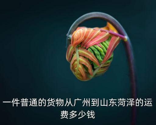 廣州到菏澤貨運(yùn)公司，一件普通的貨物從廣州到山東菏澤的運(yùn)費(fèi)多少錢(qián)