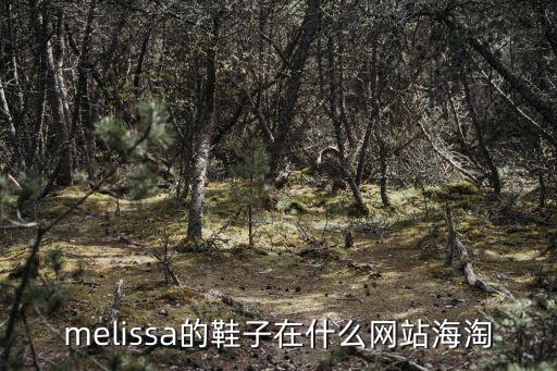 梅麗莎果凍鞋深圳哪賣(mài)，melissa鞋在北京和香港哪兒有專(zhuān)柜啊