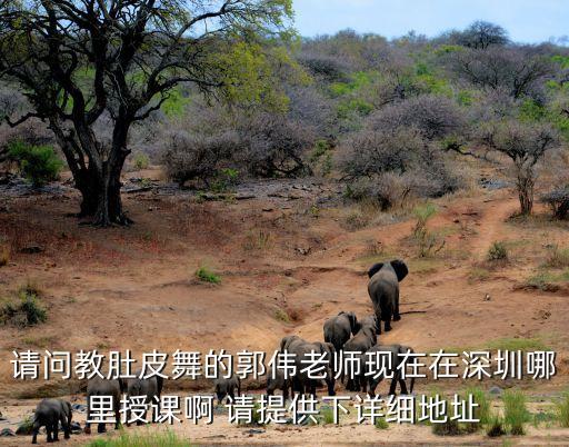 請(qǐng)問教肚皮舞的郭偉老師現(xiàn)在在深圳哪里授課啊 請(qǐng)?zhí)峁┫略敿?xì)地址