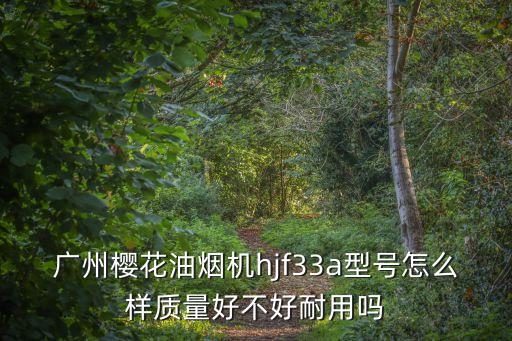 廣州櫻花油煙機hjf33a型號怎么樣質量好不好耐用嗎