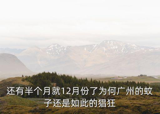 廣州蚊子病毒死人，還有半個月就12月份了為何廣州的蚊子還是如此的猖狂