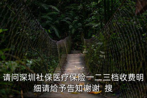 請問深圳社保醫療保險一二三檔收費明細請給予告知謝謝  搜