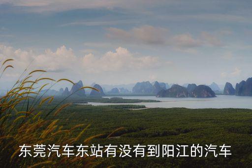 東莞東站到陽江坐什么車，東莞東站到陽江的汽車我去陽江在東莞東站能坐上車嗎