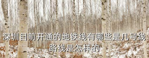 深圳目前開通的地鐵線有哪些是幾號(hào)線路線是怎樣的