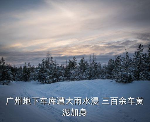 廣州地下車庫遭大雨水浸 三百余車黃泥加身