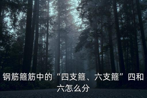 鋼筋箍筋中的“四支箍、六支箍”四和六怎么分
