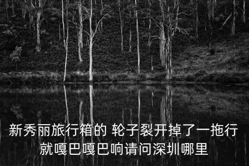 新秀麗旅行箱的 輪子裂開掉了一拖行就嘎巴嘎巴響請問深圳哪里