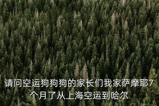 請問空運狗狗狗的家長們我家薩摩耶7個月了從上海空運到哈爾